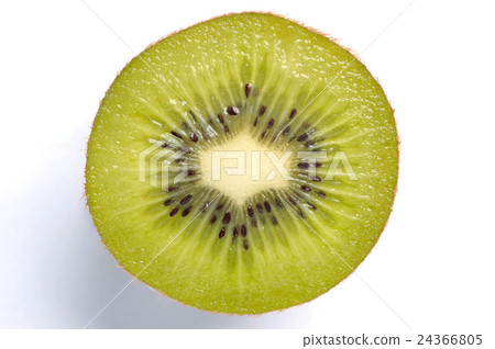 奇異果截面 24366805