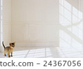 Abyssinian 24367056
