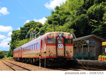 Summer's dream railway 24367253