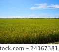 鄉村景觀 24367381