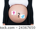Pregnancy, boy or girl, gender of baby 24367650