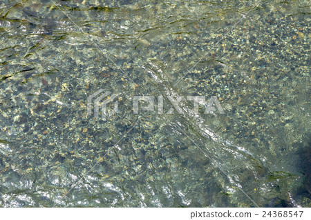 Material on the river side of the gravel bottom 24368547