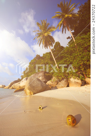 Malaysian Beach Malaysian Beach 24370722