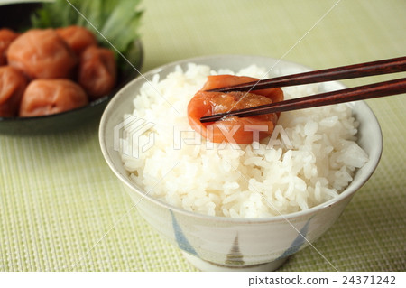 Yomiboshi（Minami Takashi） 24371242