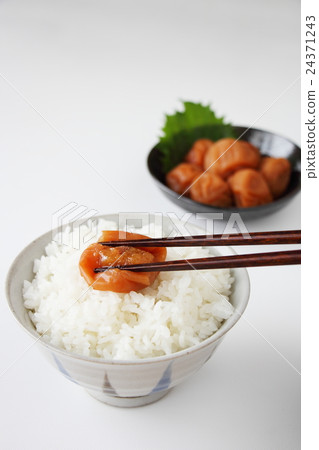 Yomiboshi（Minami Takashi） 24371243