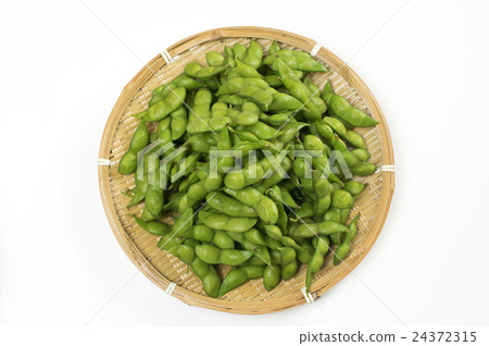 今天的豆子 24372315