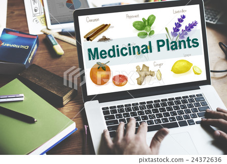 Medicinal Plants Natural Cure Herb Herbalism Concept Medicinal Plants Natural Cure Herb Herbalism Concept 24372636