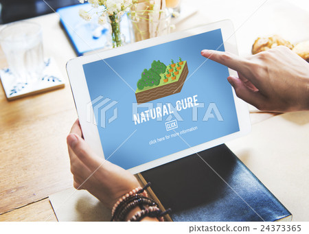 Organic Agriculture Crop Environment Growing Concept Organic Agriculture Crop Environment Growing Concept 24373365