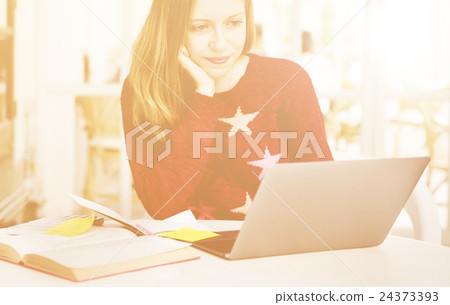 Woman Laptop Searching Research Connection Technology Concept 24373393