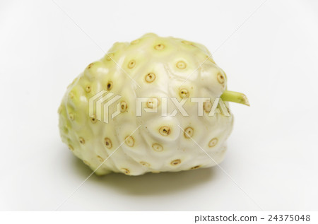 Noni 24375048