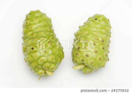 諾麗 諾麗 24375632