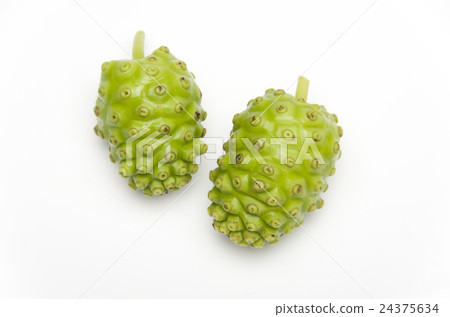 諾麗 諾麗 24375634