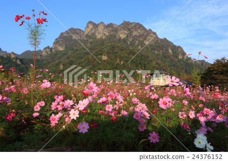 宇宙社區和Mogi山 24376152