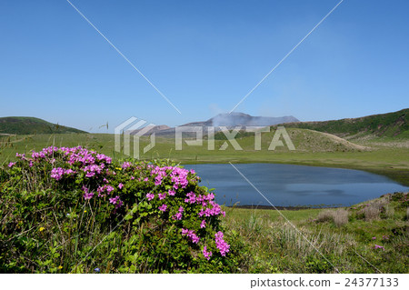 Mt. Aso and Kusurigahama and Azalea 24377133