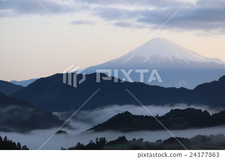 Fuji and the sea of clouds 24377863