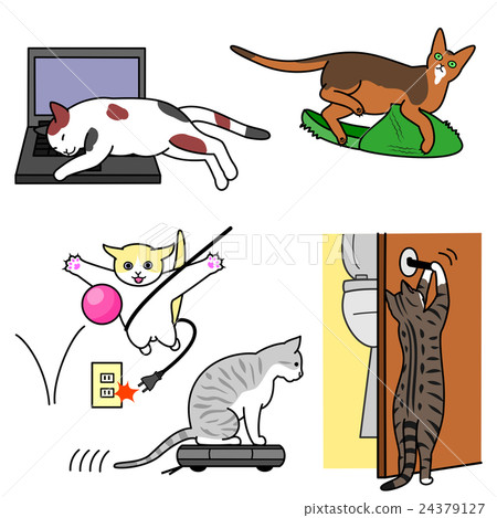 惡作劇的貓 惡作劇的貓 24379127