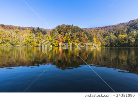 Pond to reflect autumn leaves 24381090