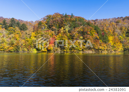 Pond that reflects autumn leaves 2 Pond that reflects autumn leaves 2 24381091
