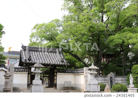 Otsunomi Temple Otsunomi Temple 24381405