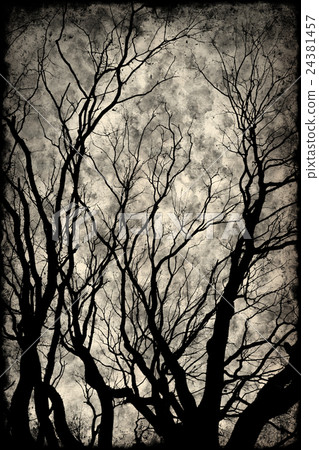 Spooky silhouette with trees and a great sky 24381457