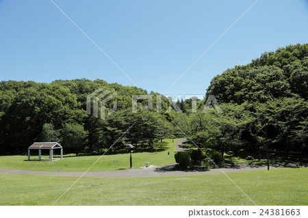 多摩市櫻丘公園 多摩市櫻丘公園 24381663
