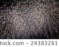 Fireworks 24383281
