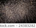 Fireworks 24383282