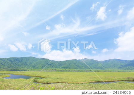 Mogara of Oze of Gunma prefecture Mogara of Oze of Gunma prefecture 24384006