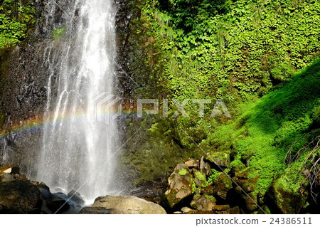 Rain water falls / Tottori 24386511