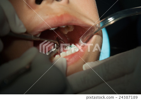 Dental Dental 24387189
