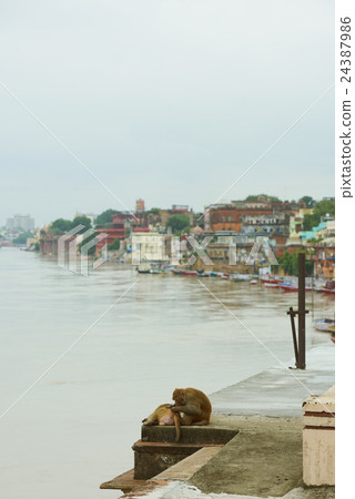 Varanasi India 24387986