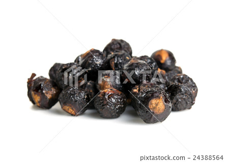 Soap nut tree or soapberry Sapindus Reetha Soap nut tree or soapberry Sapindus Reetha 24388564