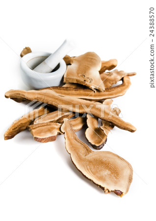 Lingzhi mushroom, Chinese traditional medicine 24388570