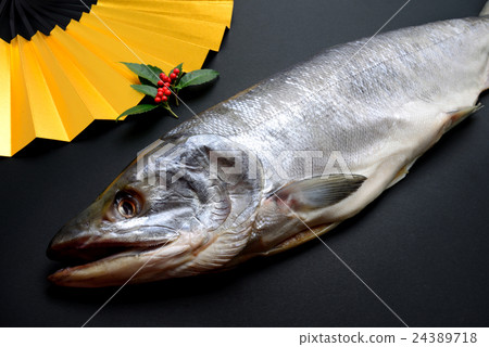 新春鮭魚 24389718