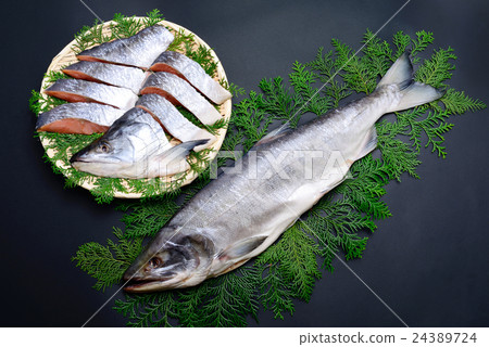 New spring salmon 24389724