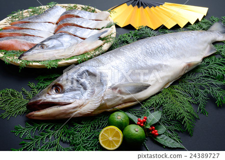 New spring salmon New spring salmon 24389727