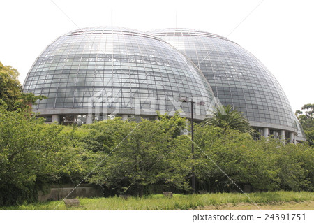 Yume no Island熱帶植物園 24391751