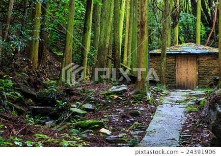 Bus Chamber House Ruins Churches of Nagasaki Latency Christianity 24391906