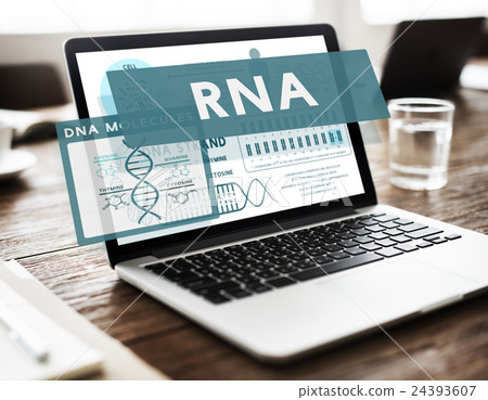 RNA Ribonucleic Physical Molecule Evolution Concept RNA Ribonucleic Physical Molecule Evolution Concept 24393607
