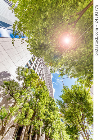 Tokyo's sky 24393778