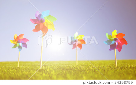 Group of Pinwheels on Grass Group of Pinwheels on Grass 24398799