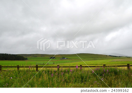 廣闊的山丘牧場,Janagiran在格拉斯哥附近開花 廣闊的山丘牧場,Janagiran在格拉斯哥附近開花 24399162