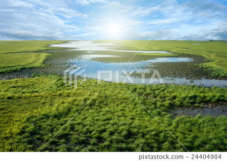 Wildlife sanctuaries of southern Thailand. 24404984