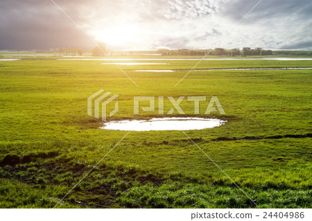 Wildlife sanctuaries of southern Thailand. 24404986