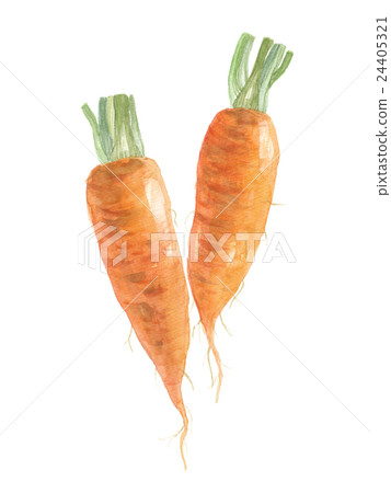 Ginseng 24405321