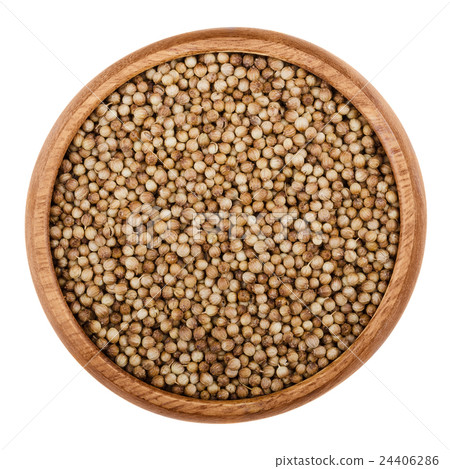Dried coriander seeds in a bowl over white 24406286