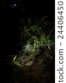 Spawning of Oniyanma 24406450