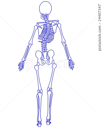 Skeletal distortion 24407347