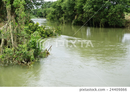A river after a Japanese nature typhoon A river after a Japanese nature typhoon 24409866