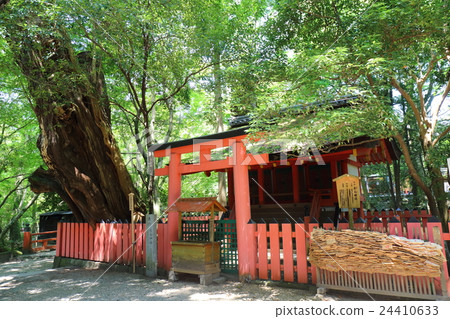 Nara Kasuga Taisha Shrine公司Mizutani Shrine Nara Kasuga Taisha Shrine公司Mizutani Shrine 24410633